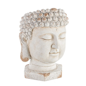 Vaso Testa Buddha To Magnesia D35