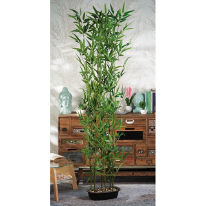 Bamboo in vaso per decorazione h. cm. 180
