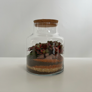 Terrarium NOEMIE 001 ø18 h20