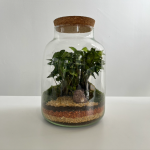 Terrarium NOEMIE 002 ø18 h25