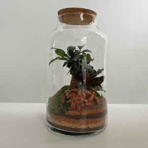 Terrarium NOEMIE 004 ø18 h30