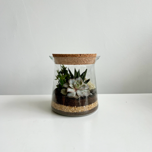 Terrarium RINI DESERT 004 ø15 h15