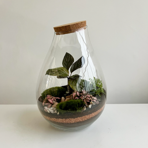 Terrarium LARA 001 ø25 h25