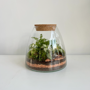 Terrarium GIO 001 ø19,5 h19