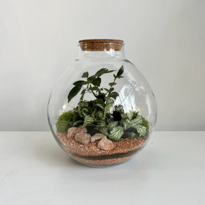 Terrarium KRIS 001 ø18 h20