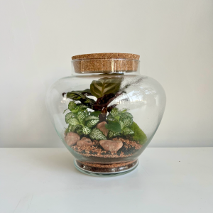 Terrarium VITT 002 ø21 h20