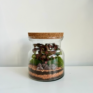 Terrarium FEDE 001 ø15 h15