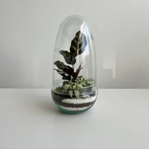 Terrarium TINA 001 ø12 h25