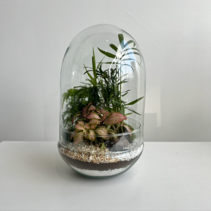 Terrarium TINA 002 ø18 h30